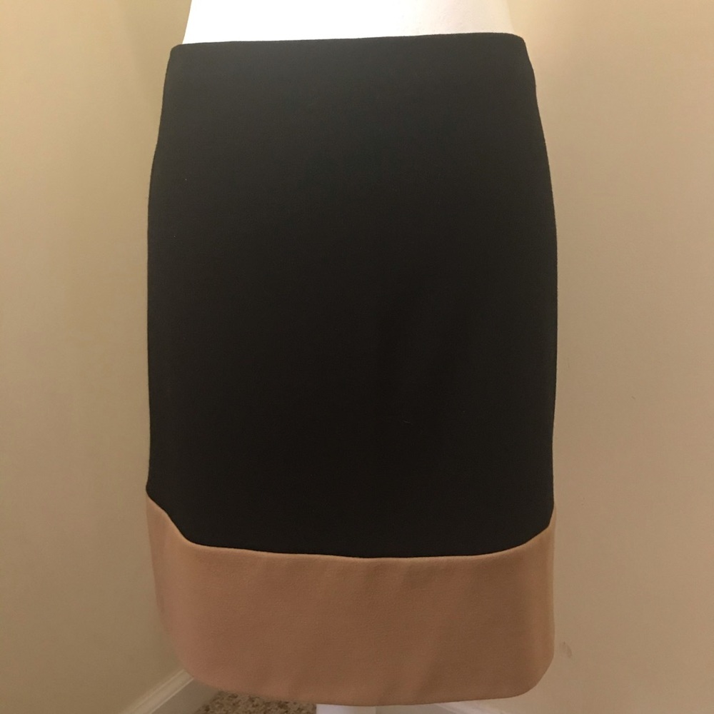 Ann Taylor Skirt